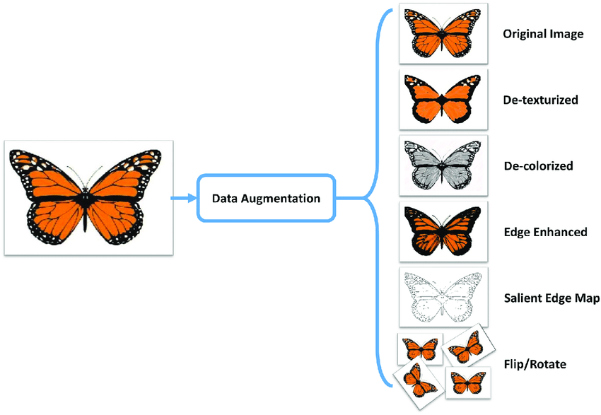 Data augmentation examples for an image