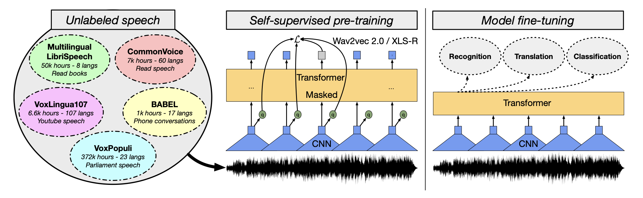 XLS-R Architecture